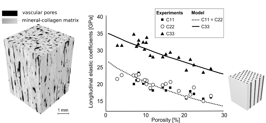 stiffness vs porosity ratio